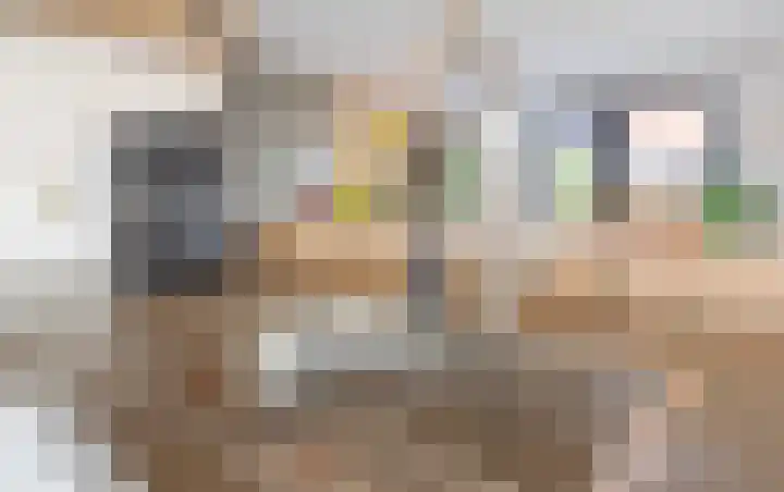 Grote vuurvlinder 31 Wolvega thumbnail 13