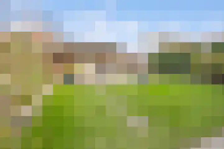 Grote vuurvlinder 31 Wolvega thumbnail 17