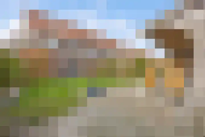 Grote vuurvlinder 31 Wolvega thumbnail 19