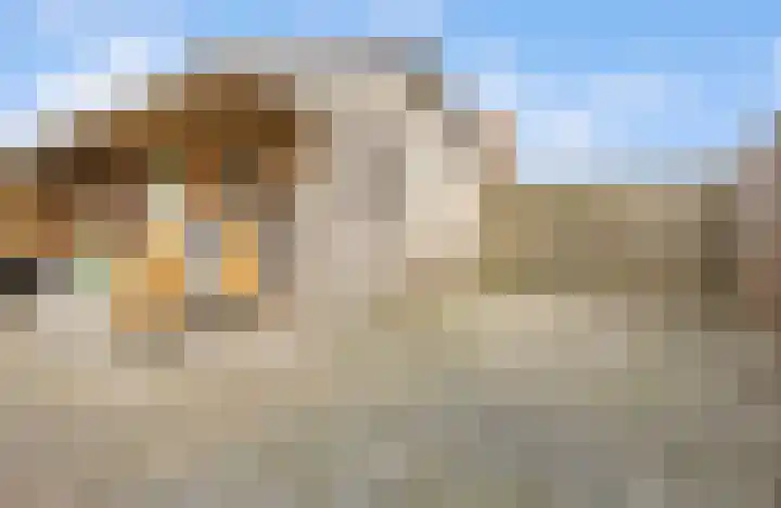 Grote vuurvlinder 31 Wolvega thumbnail 20