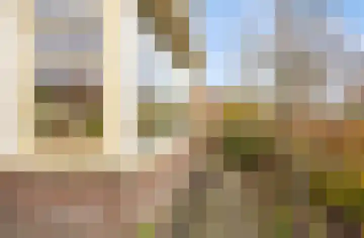 Grote vuurvlinder 31 Wolvega thumbnail 24