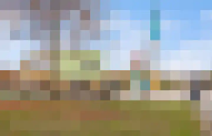 Grote vuurvlinder 31 Wolvega thumbnail 54