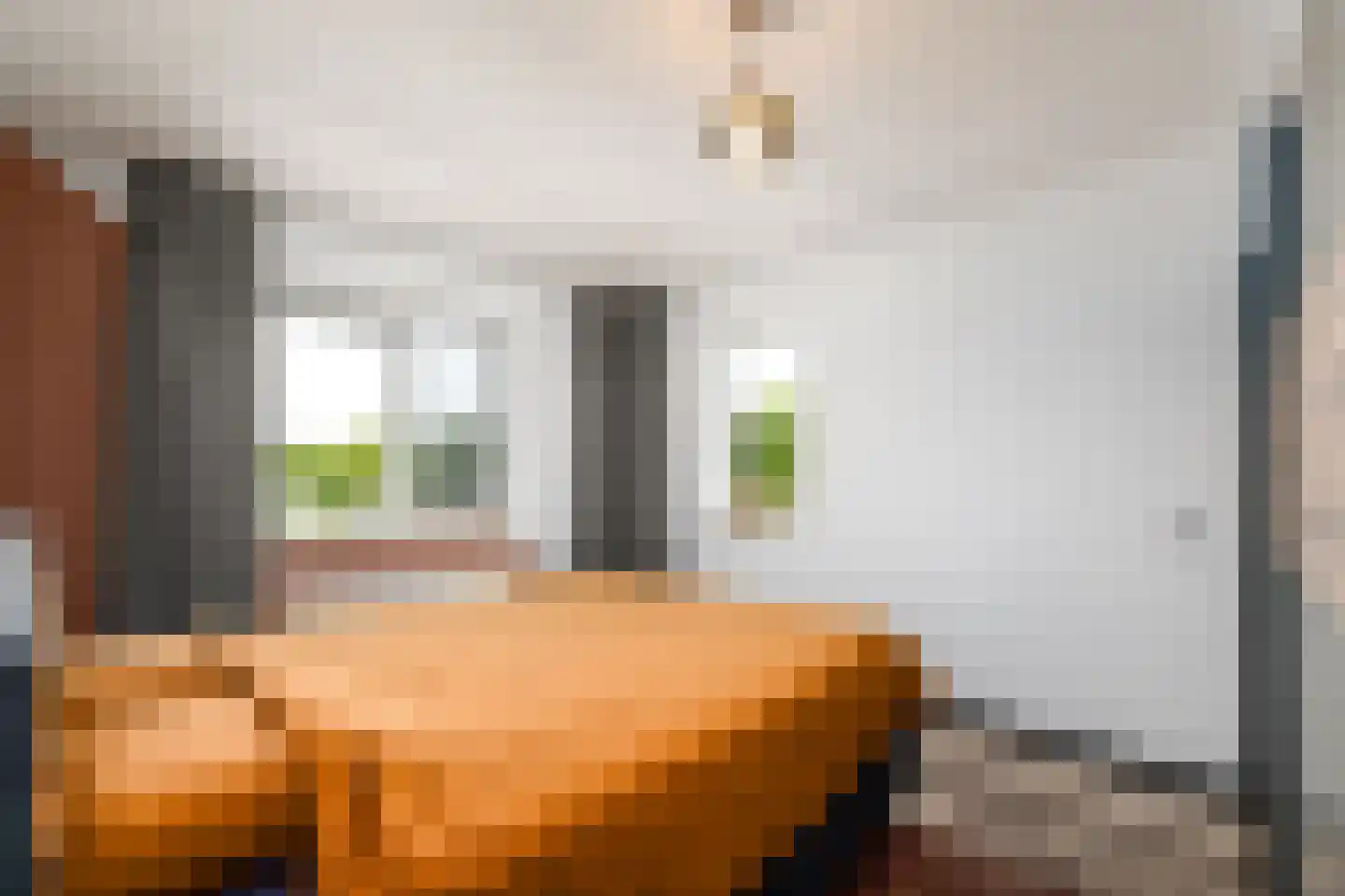 Grote vuurvlinder 39 Wolvega thumbnail 14