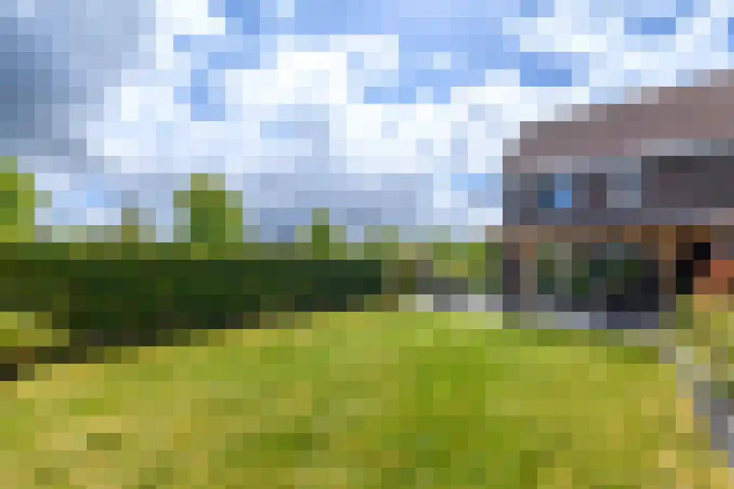 Grote vuurvlinder 39 Wolvega thumbnail 27