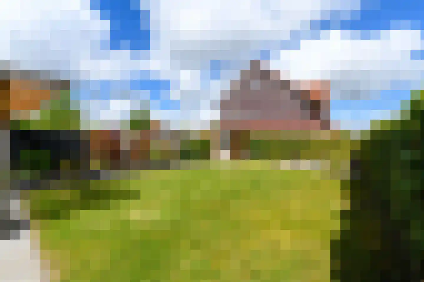 Grote vuurvlinder 39 Wolvega thumbnail 28
