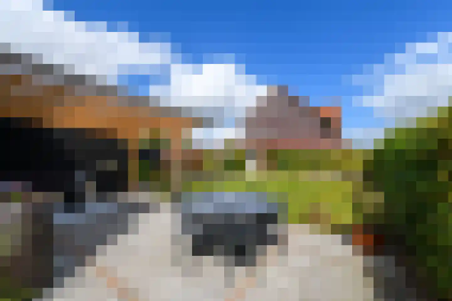 Grote vuurvlinder 39 Wolvega thumbnail 29