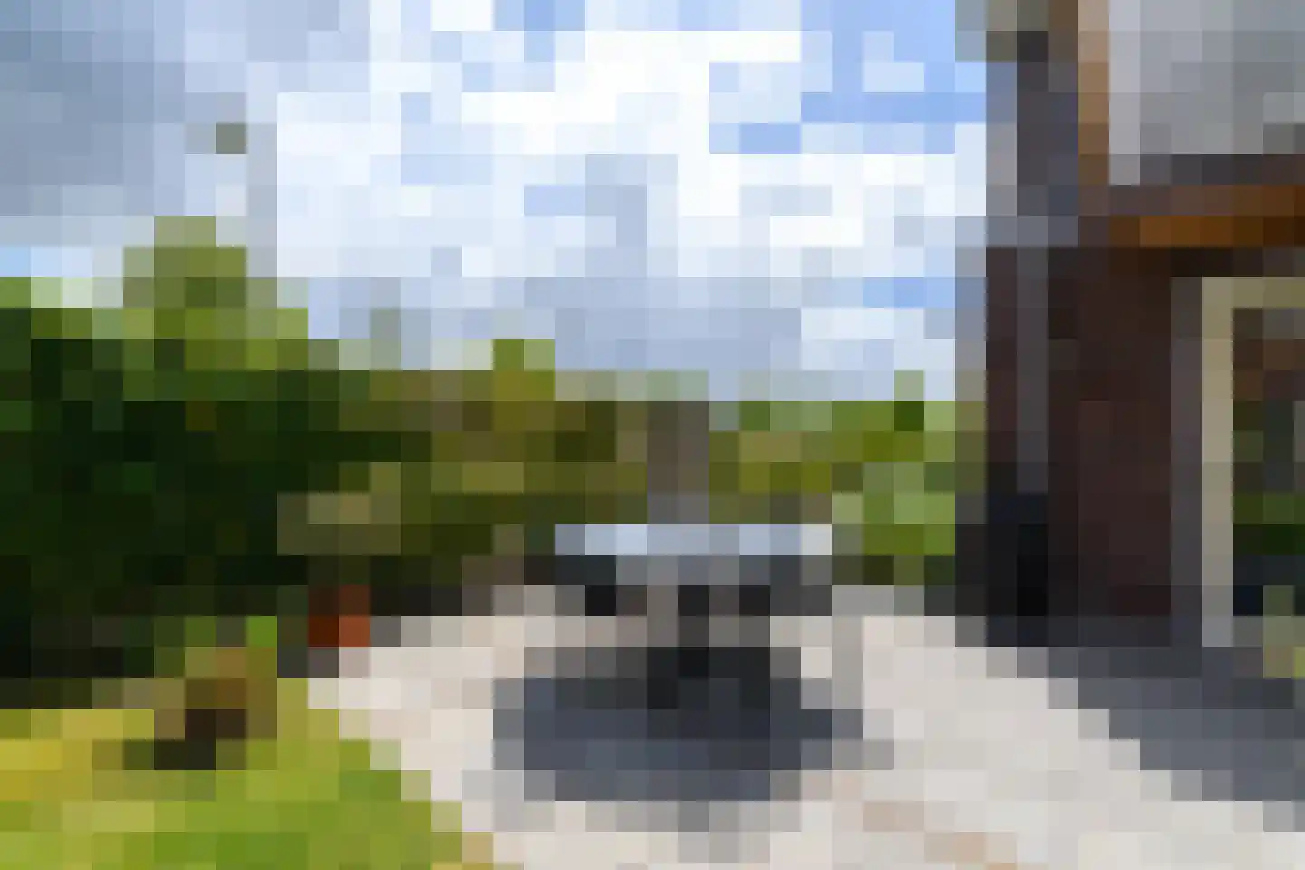 Grote vuurvlinder 39 Wolvega thumbnail 30