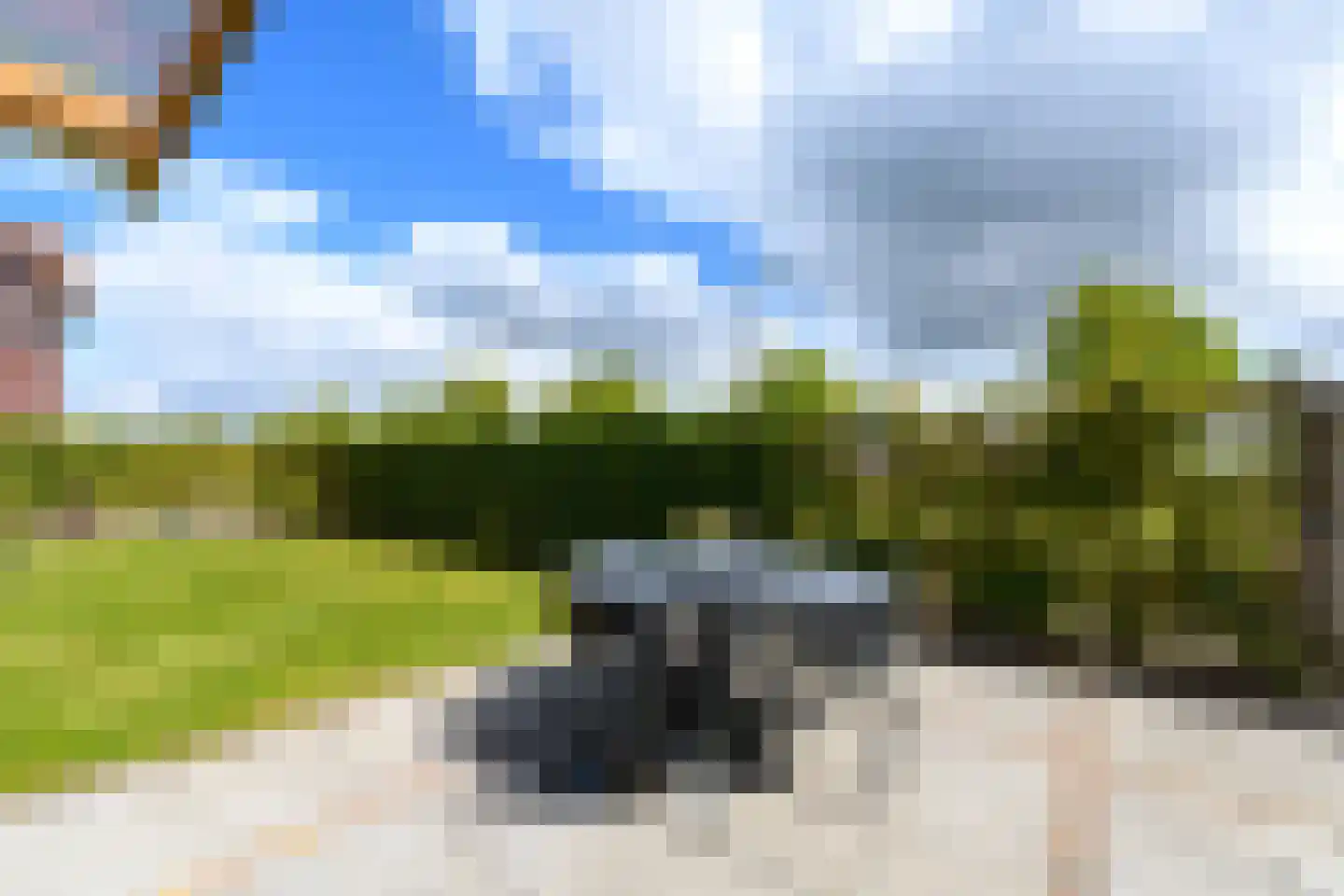 Grote vuurvlinder 39 Wolvega thumbnail 31