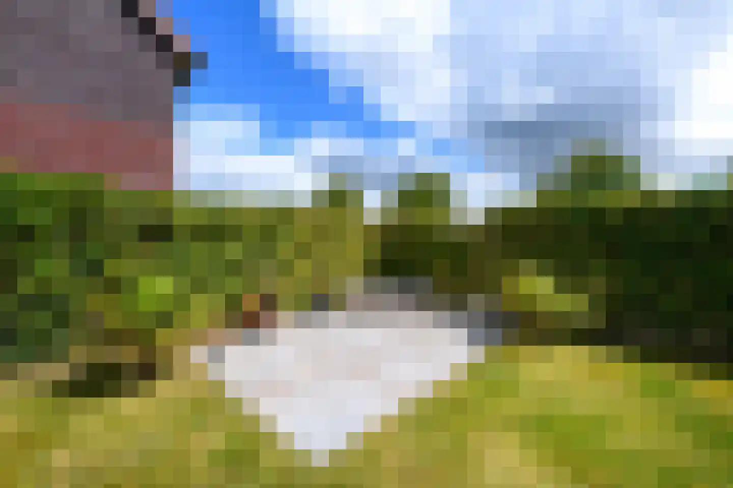 Grote vuurvlinder 39 Wolvega thumbnail 34