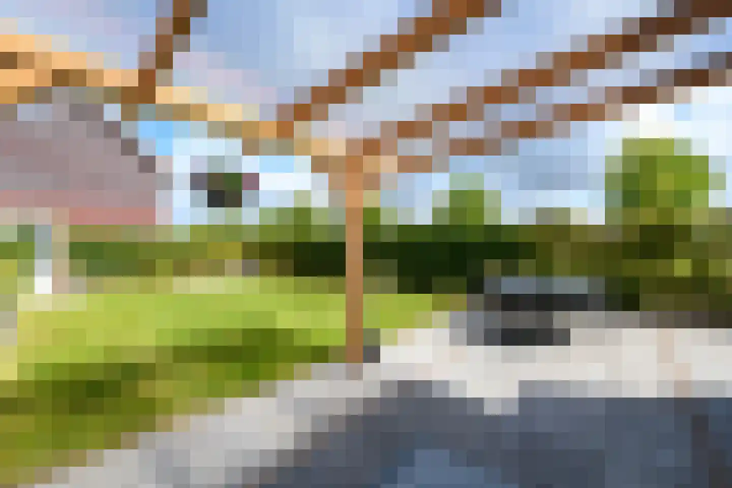 Grote vuurvlinder 39 Wolvega thumbnail 37
