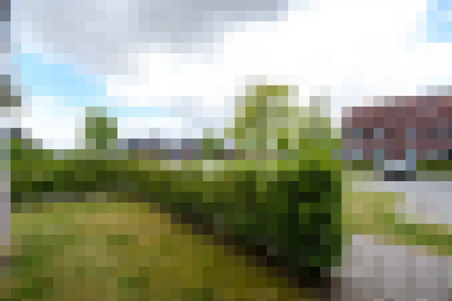 Grote vuurvlinder 39 Wolvega thumbnail 38