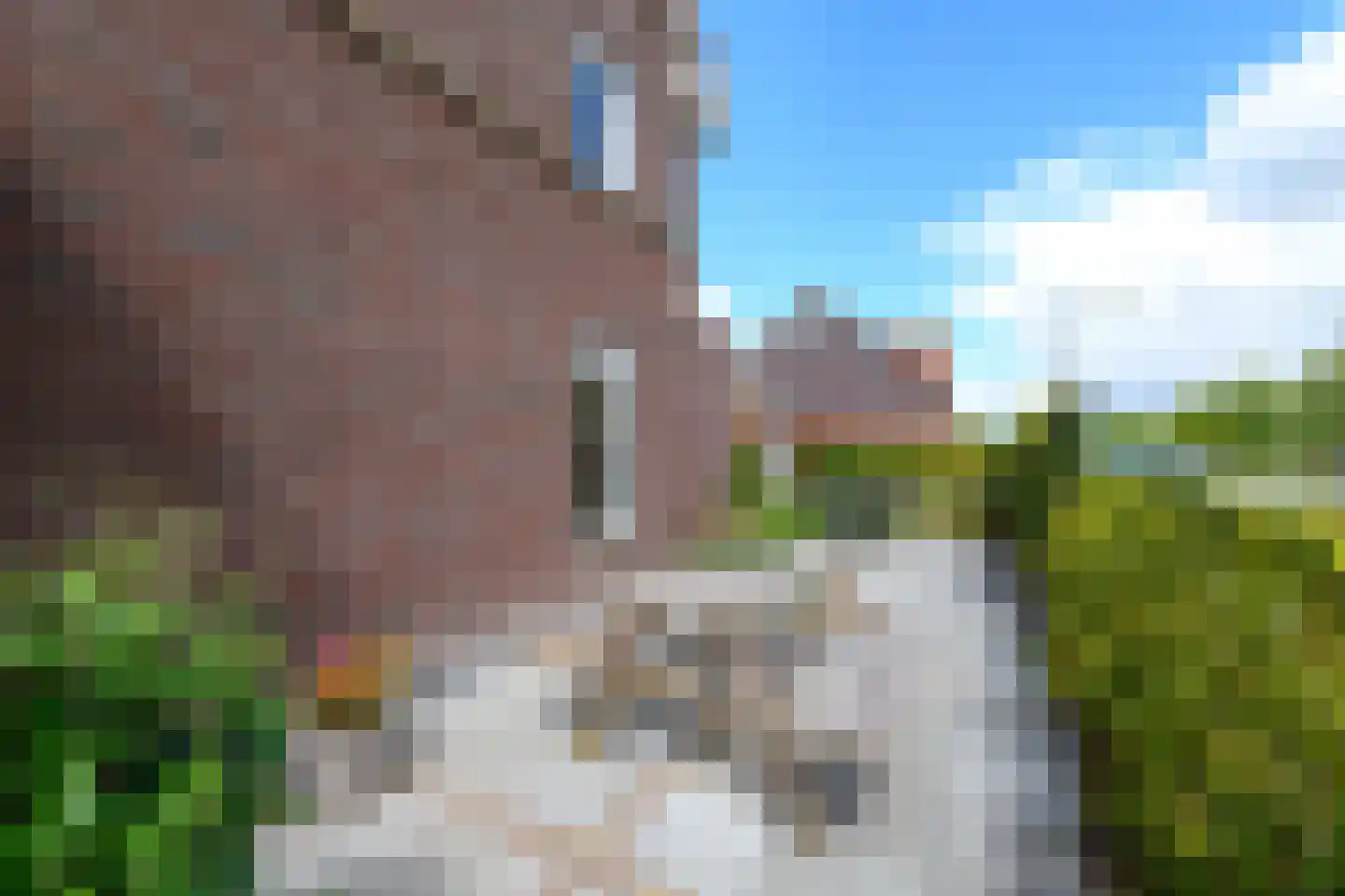 Grote vuurvlinder 39 Wolvega thumbnail 40