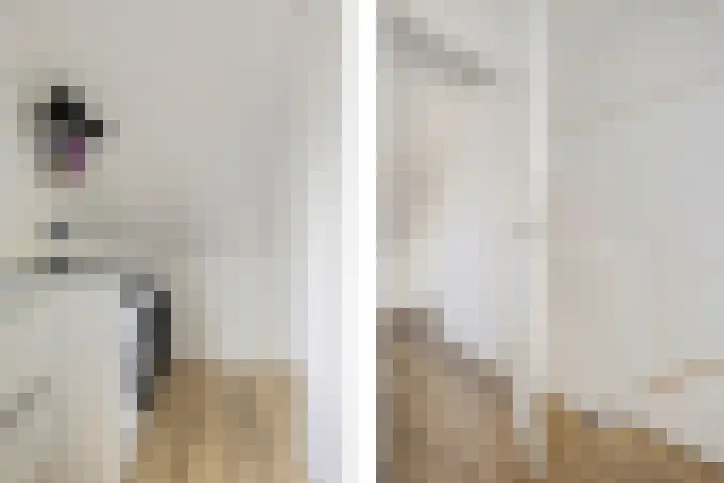 Grote Waard 23 Zwaag thumbnail 17