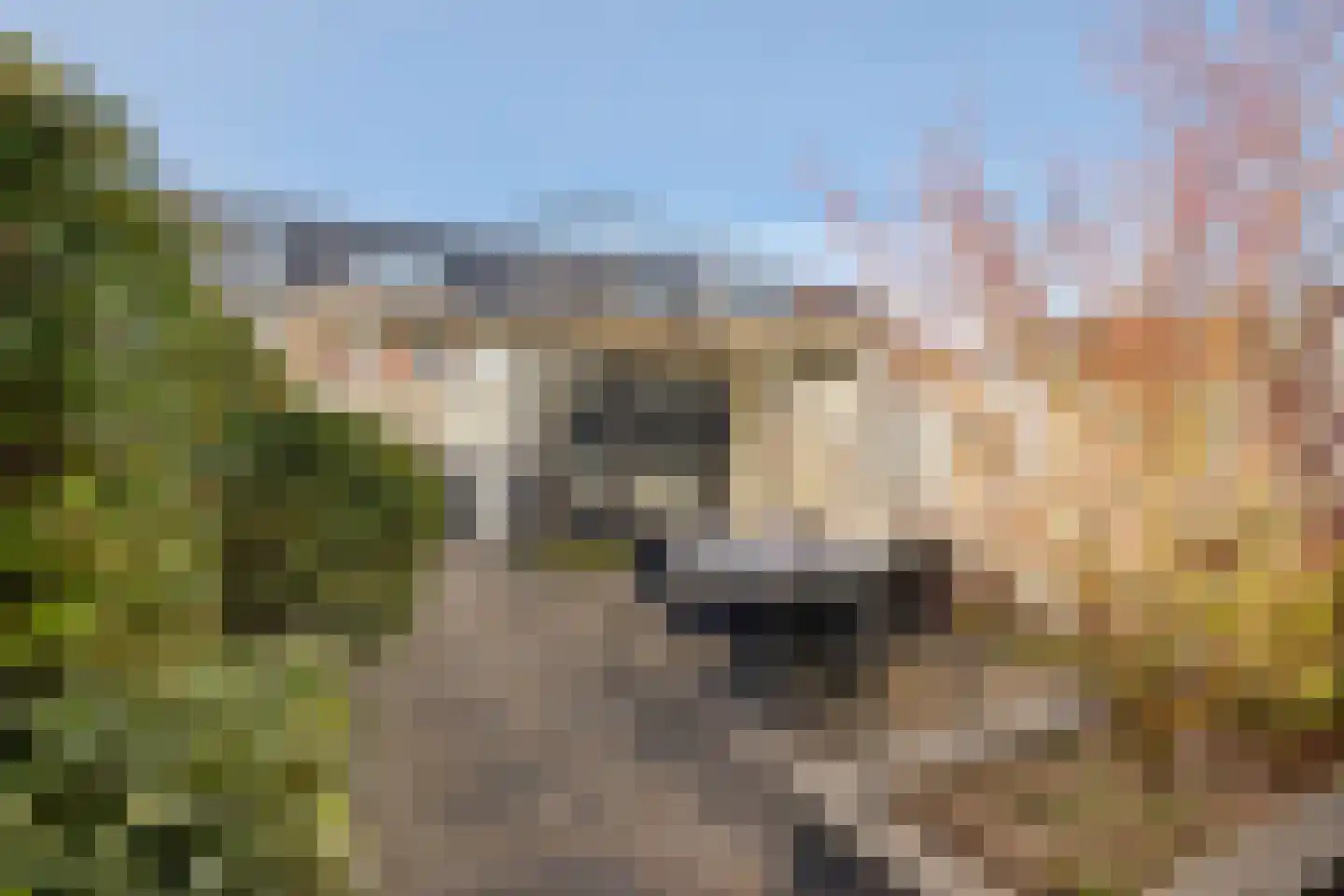 Grote Waard 23 Zwaag thumbnail 20