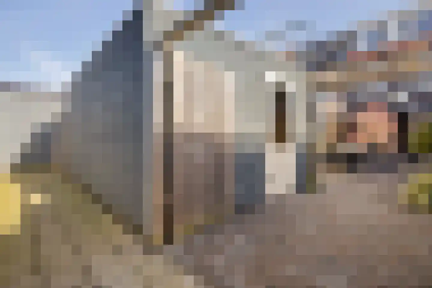 Grote Waard 23 Zwaag thumbnail 23