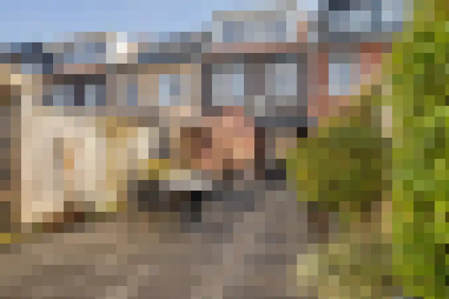 Grote Waard 23 Zwaag thumbnail 24