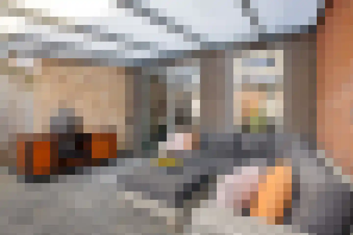 Grote Waard 23 Zwaag thumbnail 26