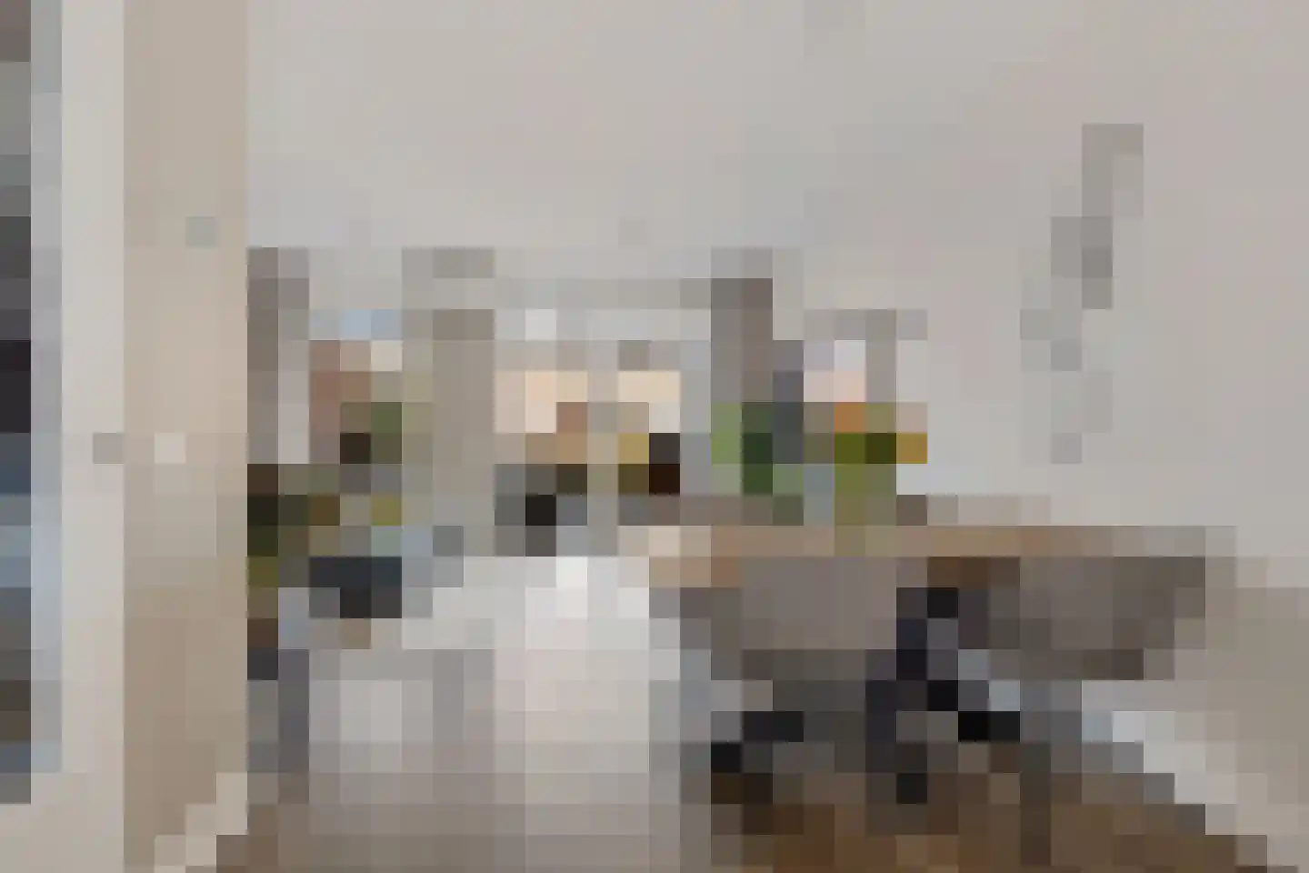 Grote Waard 23 Zwaag thumbnail 6