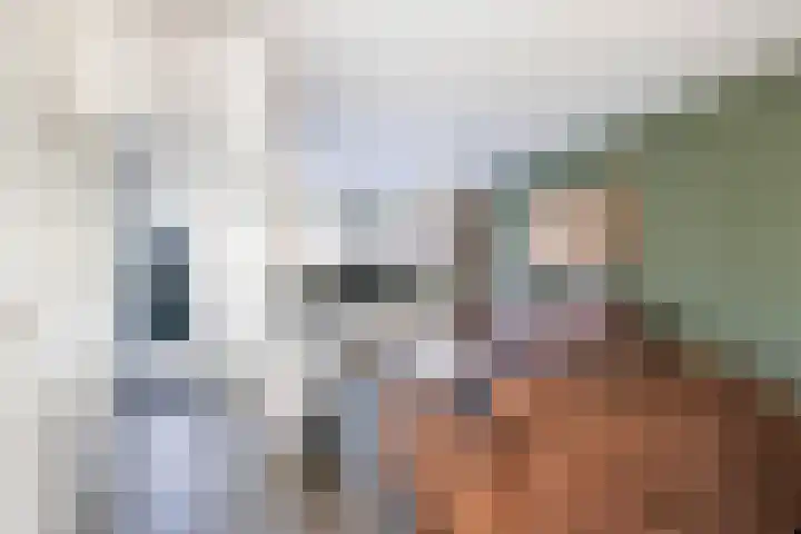 Grote Waard 25 Zevenbergen thumbnail 13