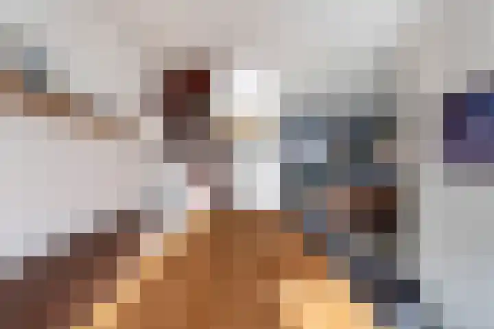 Grote Waard 25 Zevenbergen thumbnail 20