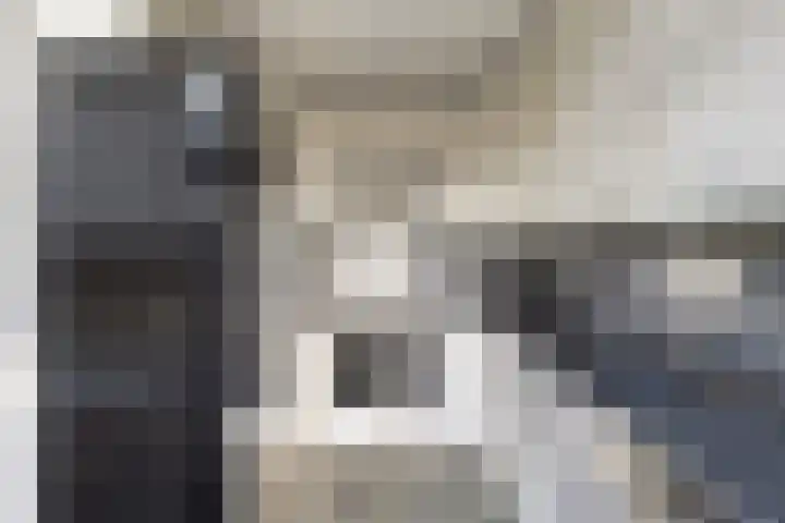 Grote Waard 25 Zevenbergen thumbnail 23