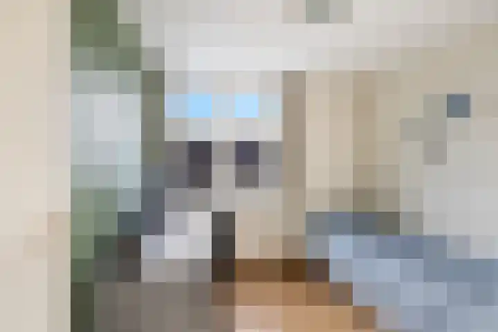 Grote Waard 25 Zevenbergen thumbnail 26