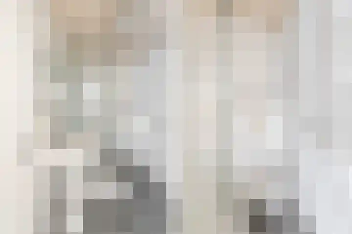 Grote Waard 25 Zevenbergen thumbnail 36