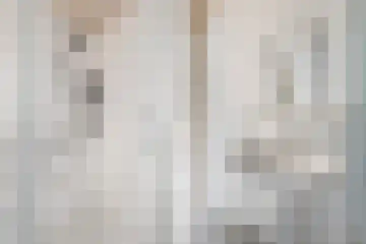 Grote Waard 25 Zevenbergen thumbnail 37