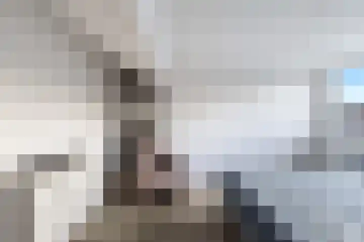 Grote Waard 25 Zevenbergen thumbnail 39