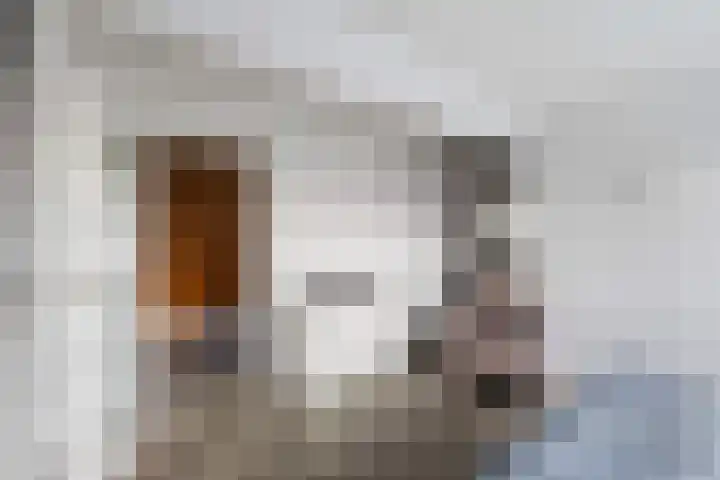 Grote Waard 25 Zevenbergen thumbnail 42