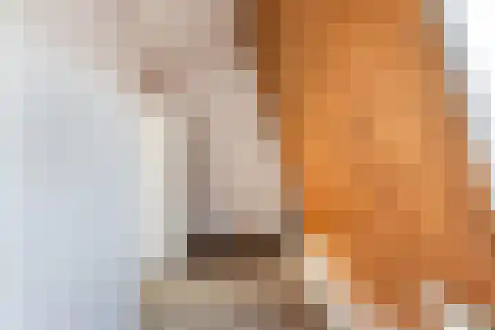 Grote Waard 25 Zevenbergen thumbnail 44