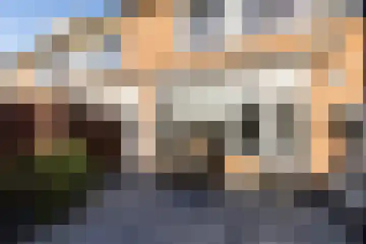 Grote Waard 25 Zevenbergen thumbnail 46