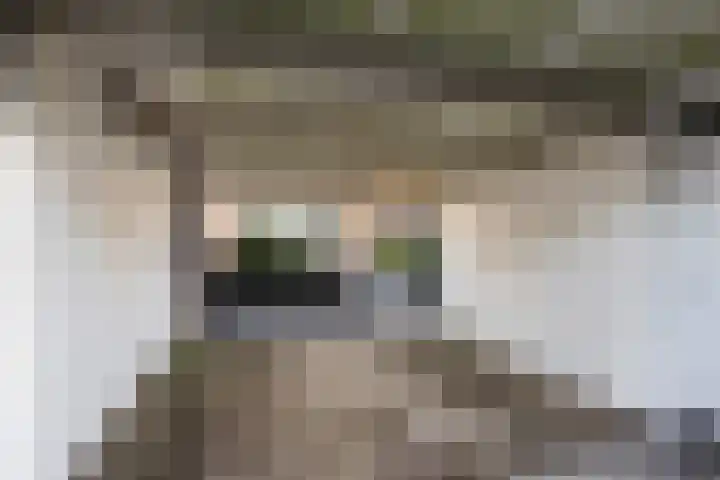 Grote Waard 25 Zevenbergen thumbnail 47