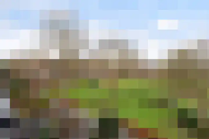 Grote Waard 25 Zevenbergen thumbnail 54