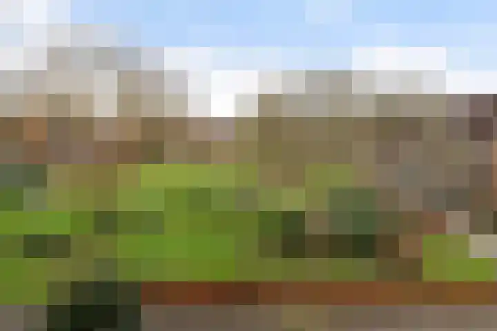 Grote Waard 25 Zevenbergen thumbnail 55
