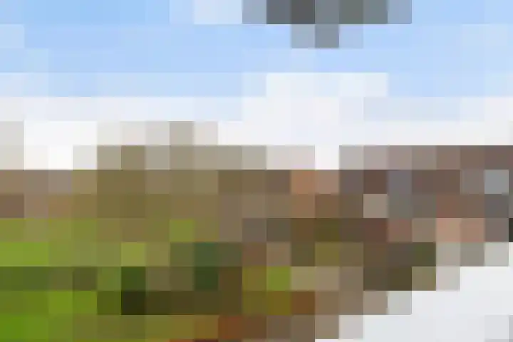 Grote Waard 25 Zevenbergen thumbnail 56