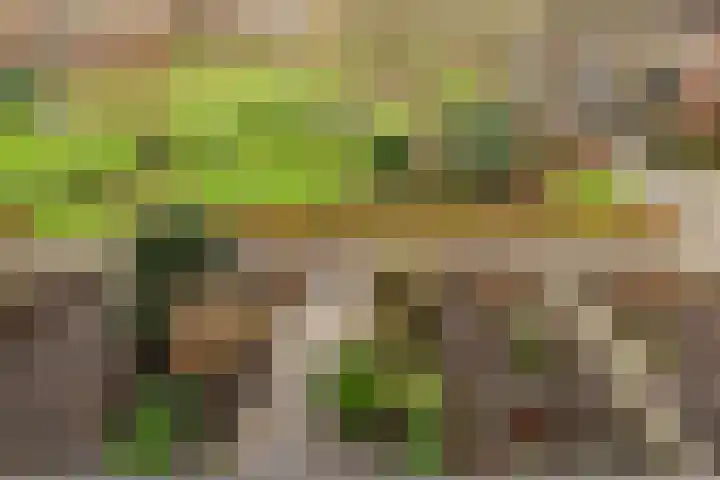 Grote Waard 25 Zevenbergen thumbnail 57