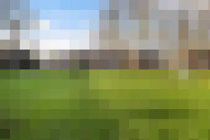 Grote Waard 25 Zevenbergen thumbnail 58