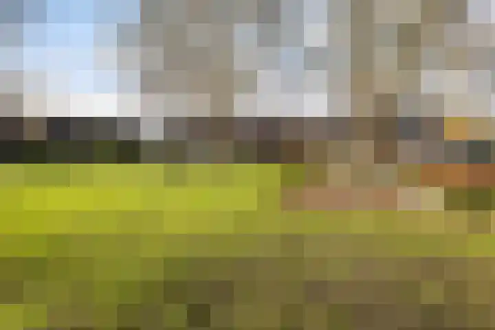 Grote Waard 25 Zevenbergen thumbnail 59