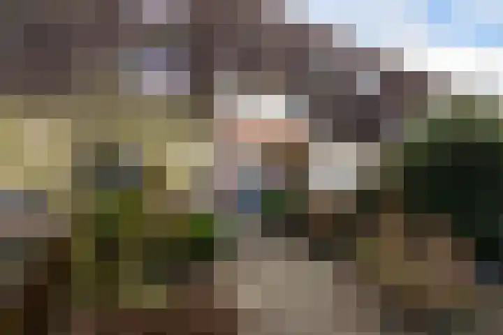 Grote Waard 25 Zevenbergen thumbnail 6