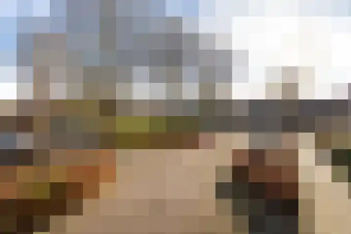 Grote Waard 25 Zevenbergen thumbnail 60