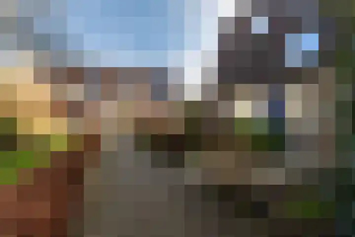 Grote Waard 25 Zevenbergen thumbnail 61