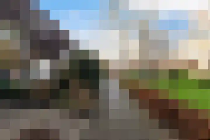 Grote Waard 25 Zevenbergen thumbnail 62