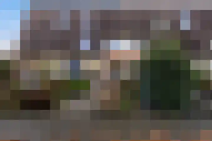 Grote Waard 25 Zevenbergen thumbnail 63