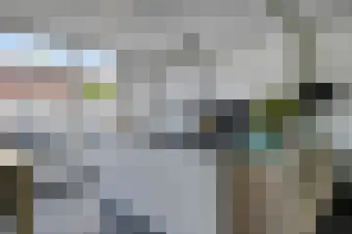 Grote Waard 27 Zevenbergen thumbnail 15