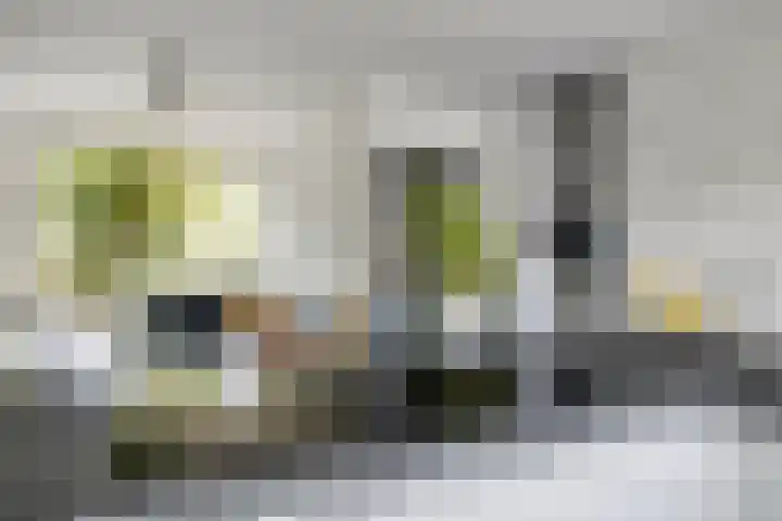 Grote Waard 27 Zevenbergen thumbnail 19