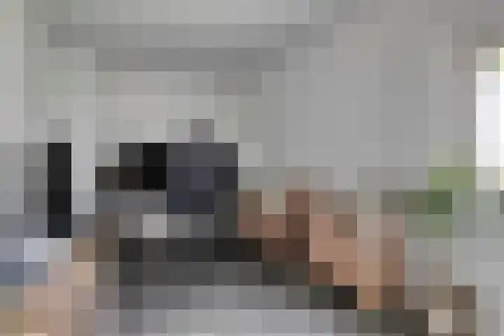Grote Waard 27 Zevenbergen thumbnail 23