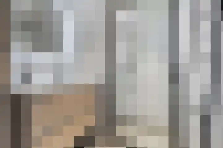 Grote Waard 27 Zevenbergen thumbnail 25