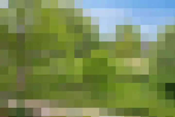 Grote Waard 27 Zevenbergen thumbnail 38