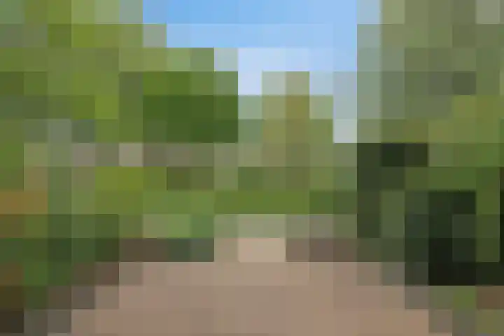 Grote Waard 27 Zevenbergen thumbnail 39